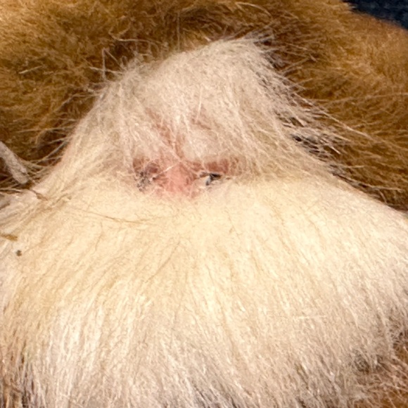 Shaggy haired and bearded Santa wears a brown cape and carries a burlap sack. - Picture 5 of 9